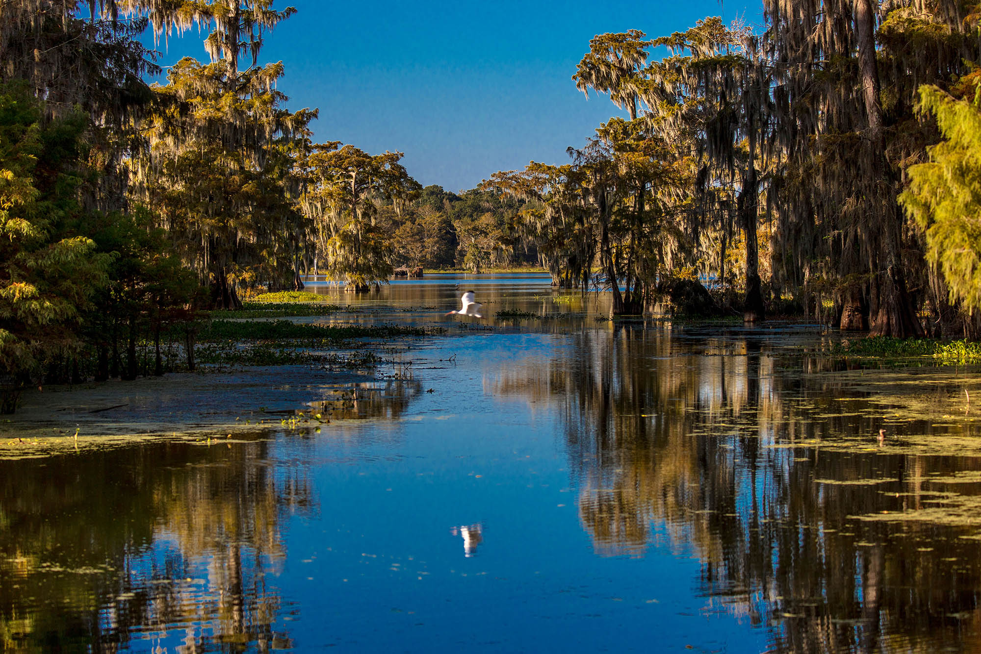 Louisiana Geotechnical Laboratories